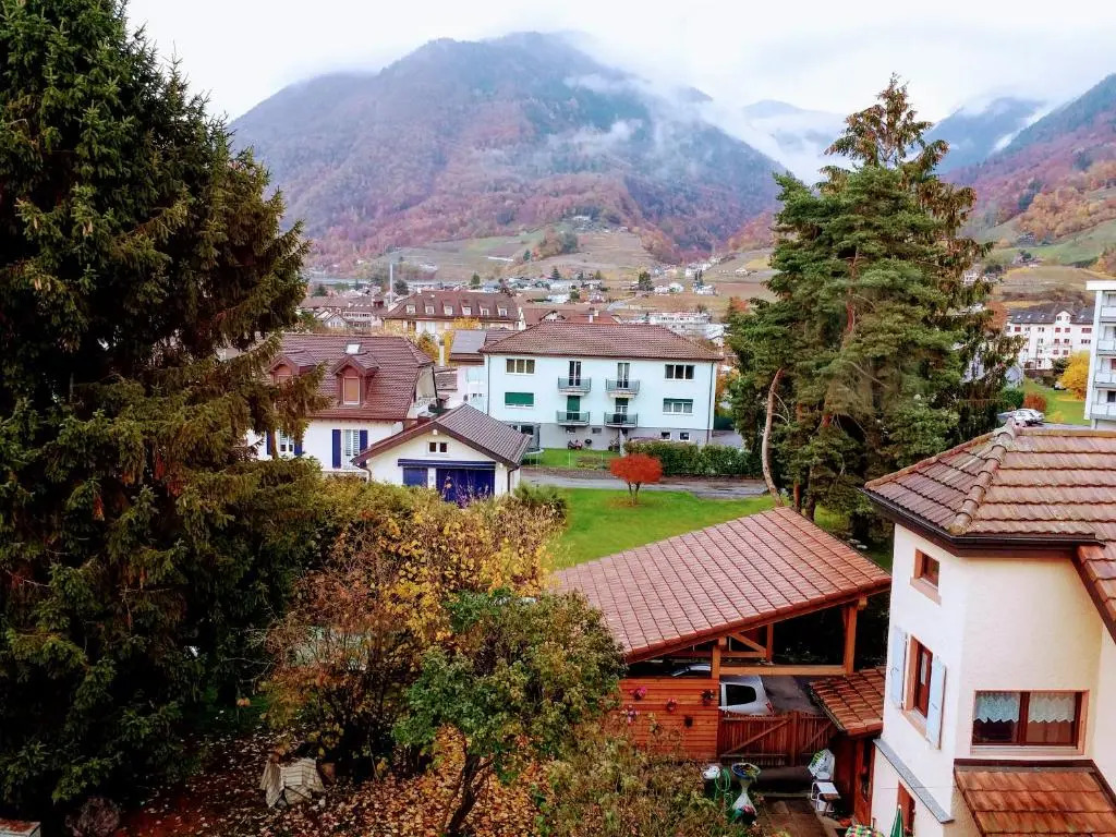 Alpine Apartment