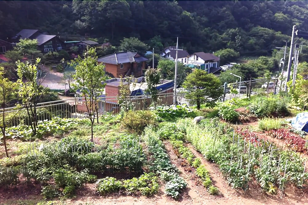 Gapyeong Zeny Pension