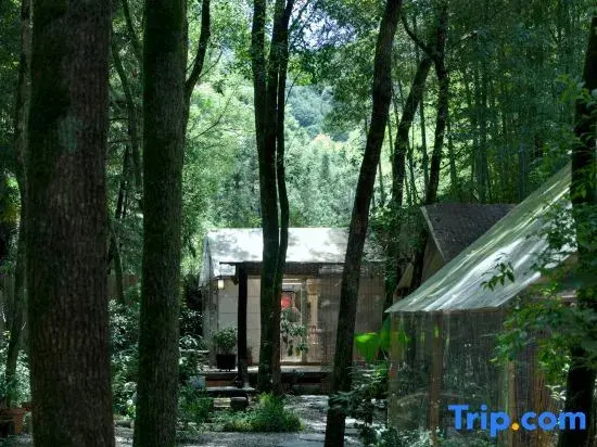 JDZ Forest Haven B&B