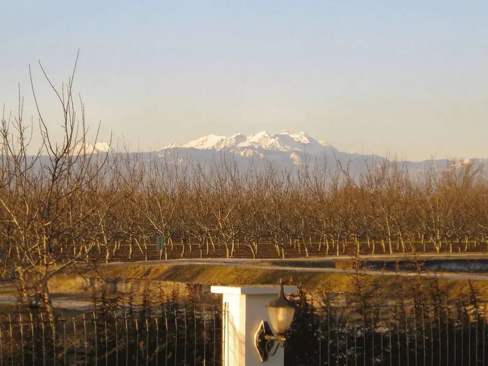 Luxury Villa Near Venice in the Prosecco Region
