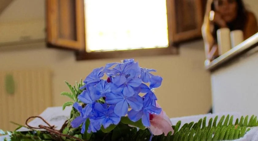Buon Consiglio B&B
