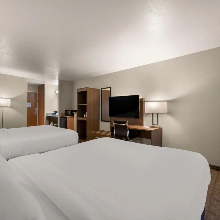 Comfort Inn & Suites Fenton