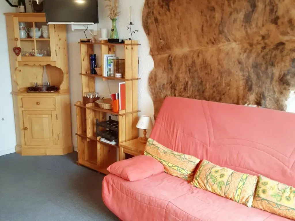Appartement Les Deux Alpes, 1 pièce, 4 personnes - FR-1-516-103