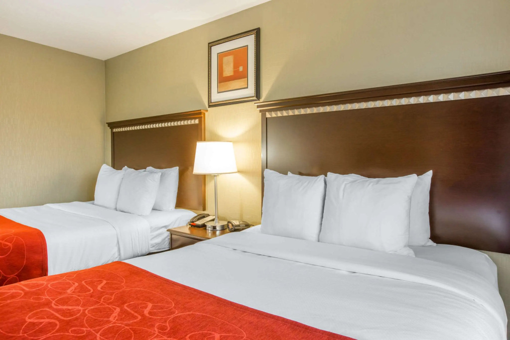 Comfort Suites Locust Grove Atlanta South