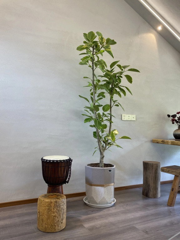 Anxia Lishe B&B, Xiandu Scenic Area