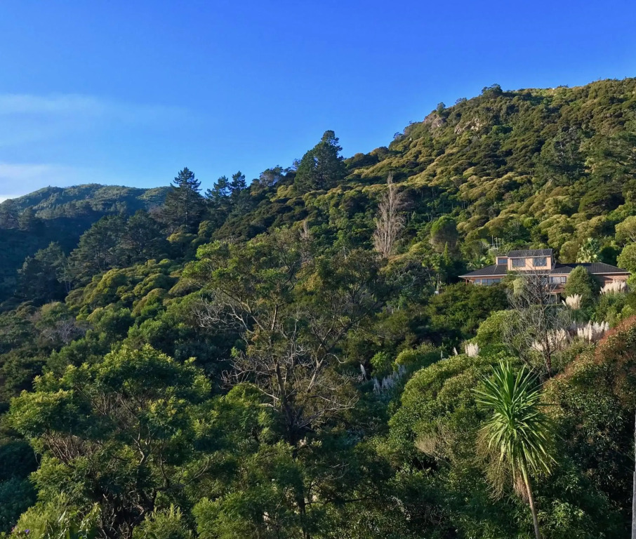 Fantail Hill