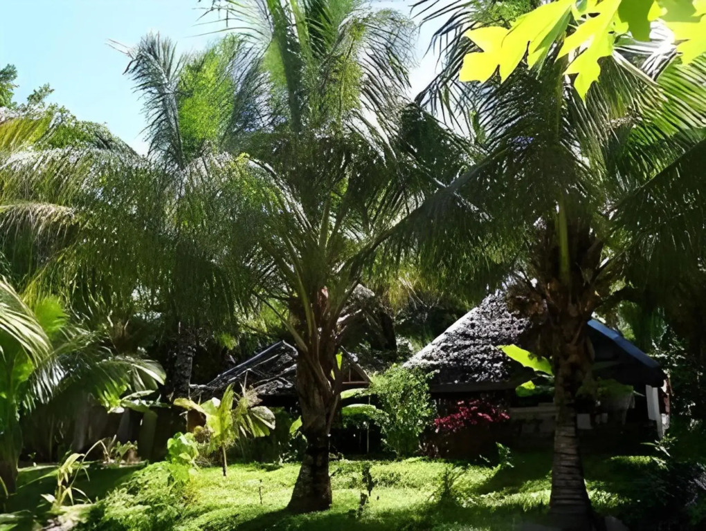 Hotel Le Paradise
