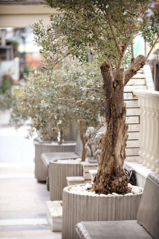 Parthenon Art Hotel-Seaside Collection