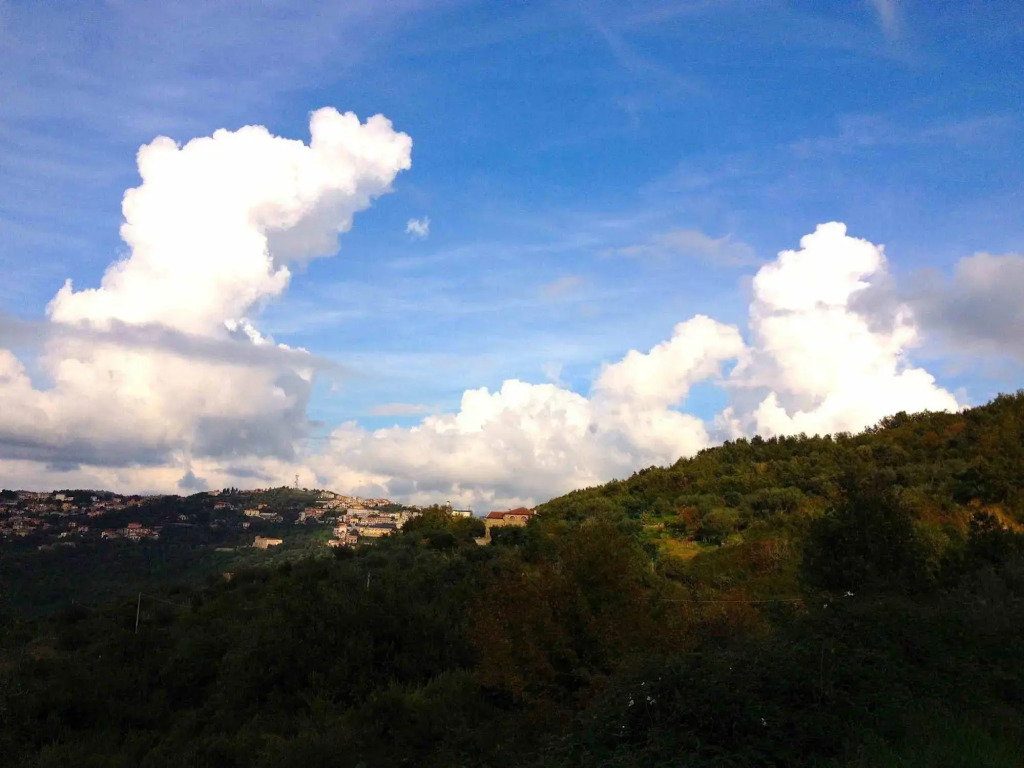 Villa Nigro
