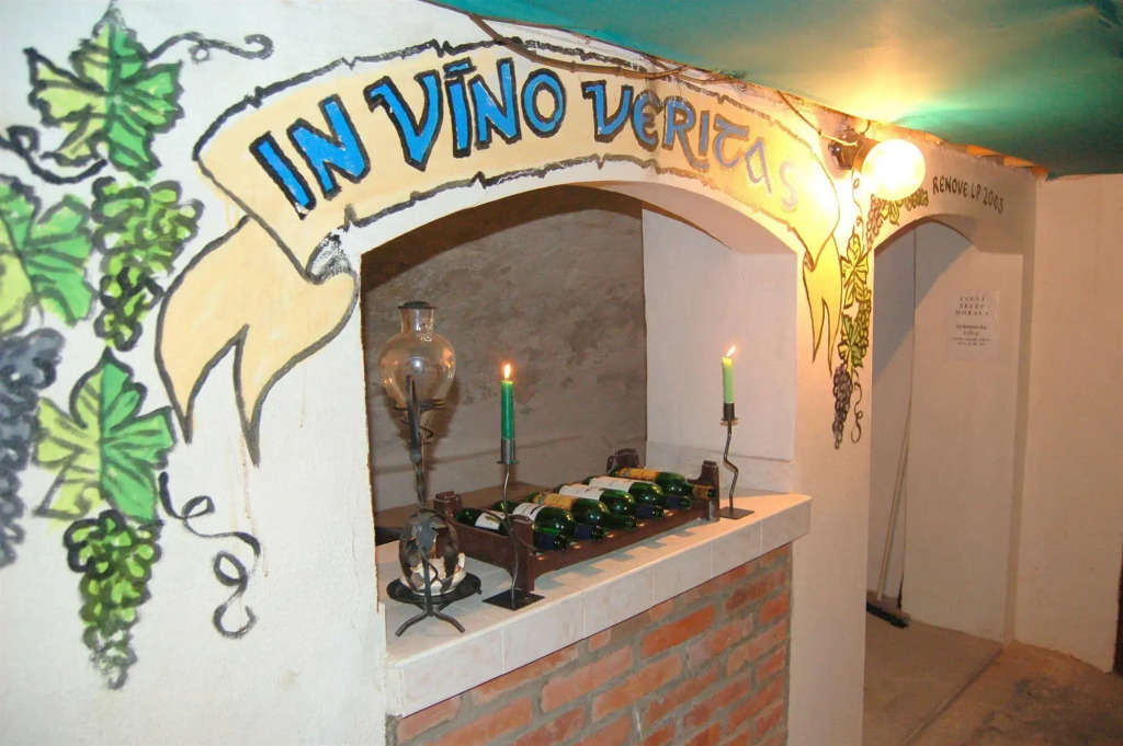 Hotel Morava