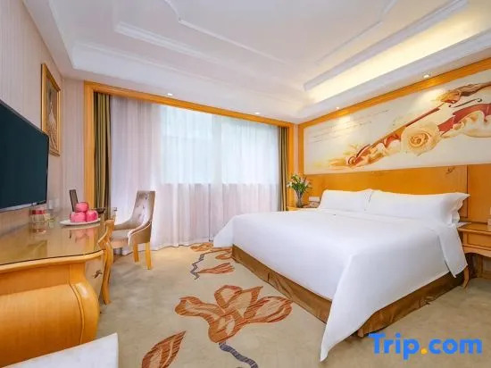 Vienna International Hotel (Jingzhou High-speed Railway Station Fangte Branch)