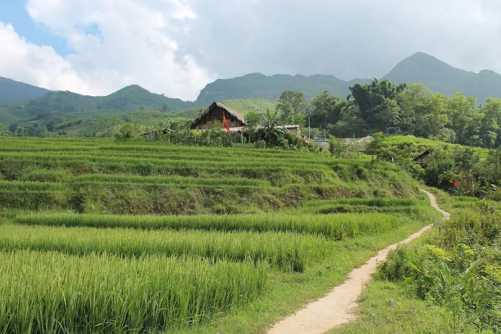 Zihome Hmong House