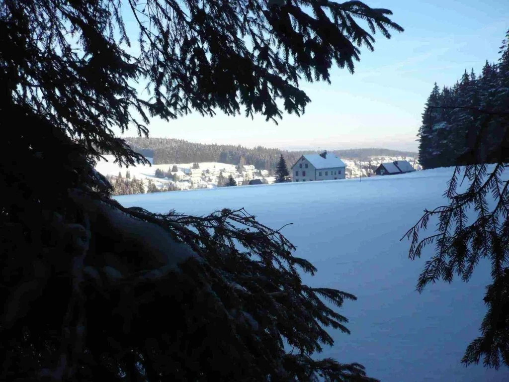 Höhengasthof Löwen-Escheck