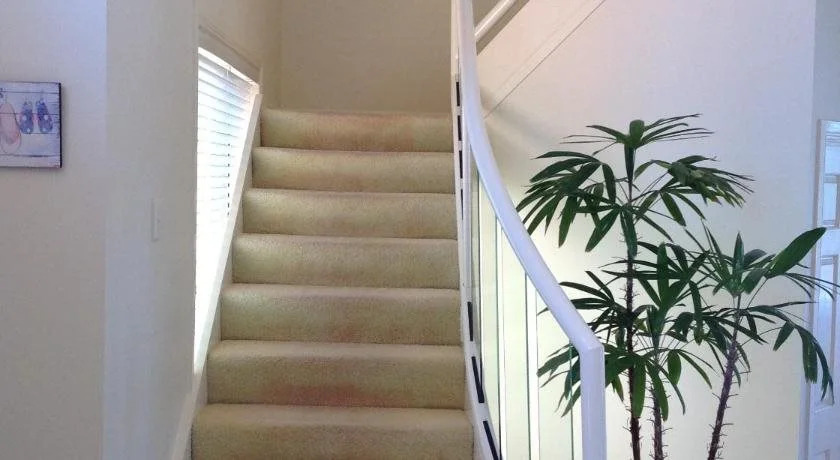 Paradisio Bed and Breakfast