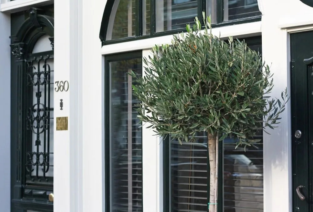 Villa360