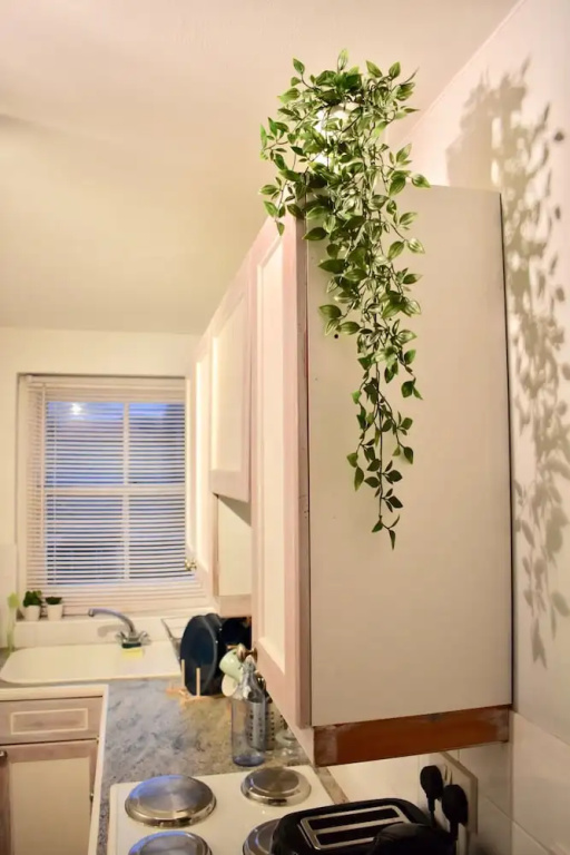 1 Bedroom Central Flat