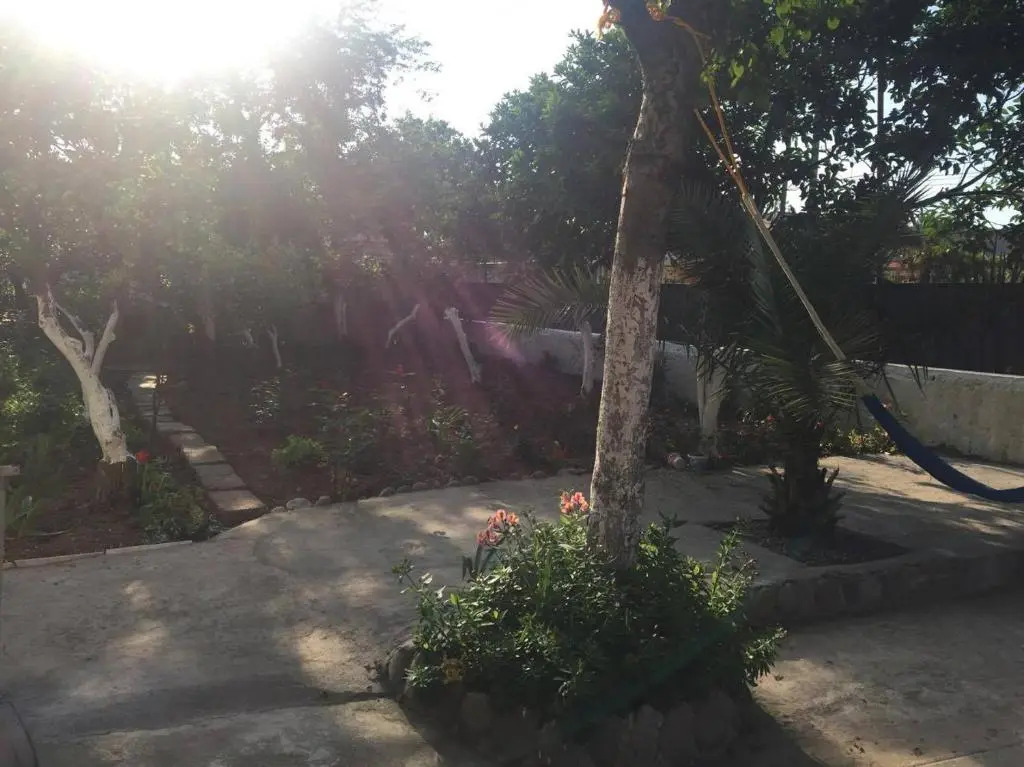 Cico Guest House