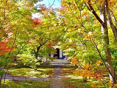 Togari Onsen Alpine Plaza - Vacation STAY 02778v