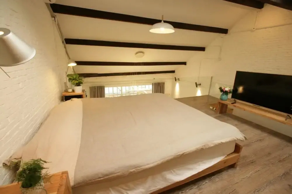 Wonderland French Concession  FX78 Loft