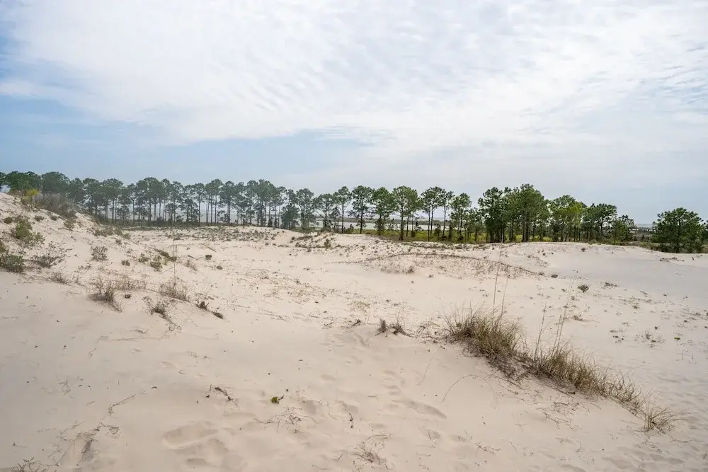 Blue Haven - 1414 Oleander 4 Bedroom Home by RedAwning