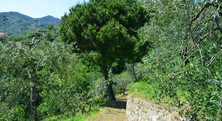 Villa delle Rose