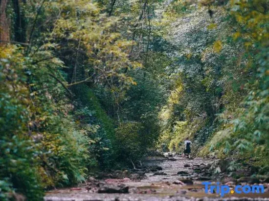 Tongyin Qingcheng Homestay (Qingcheng Piedmont Branch)