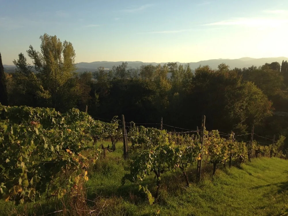 Podere San Lorenzo