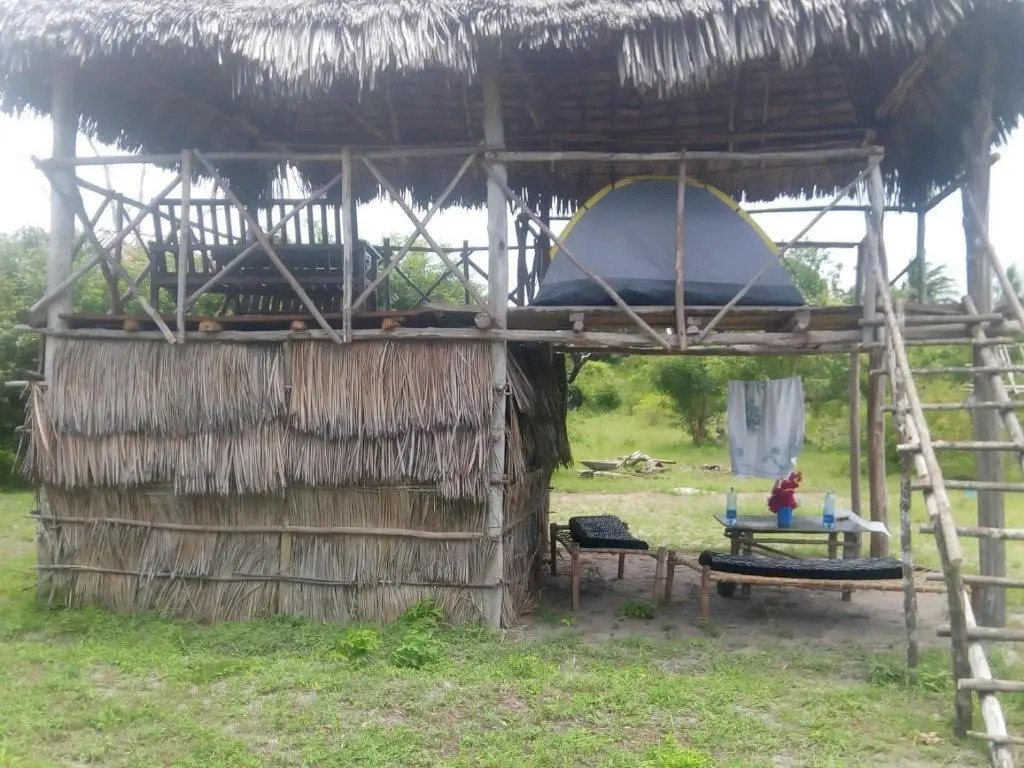 Mida Creek Nature Camp