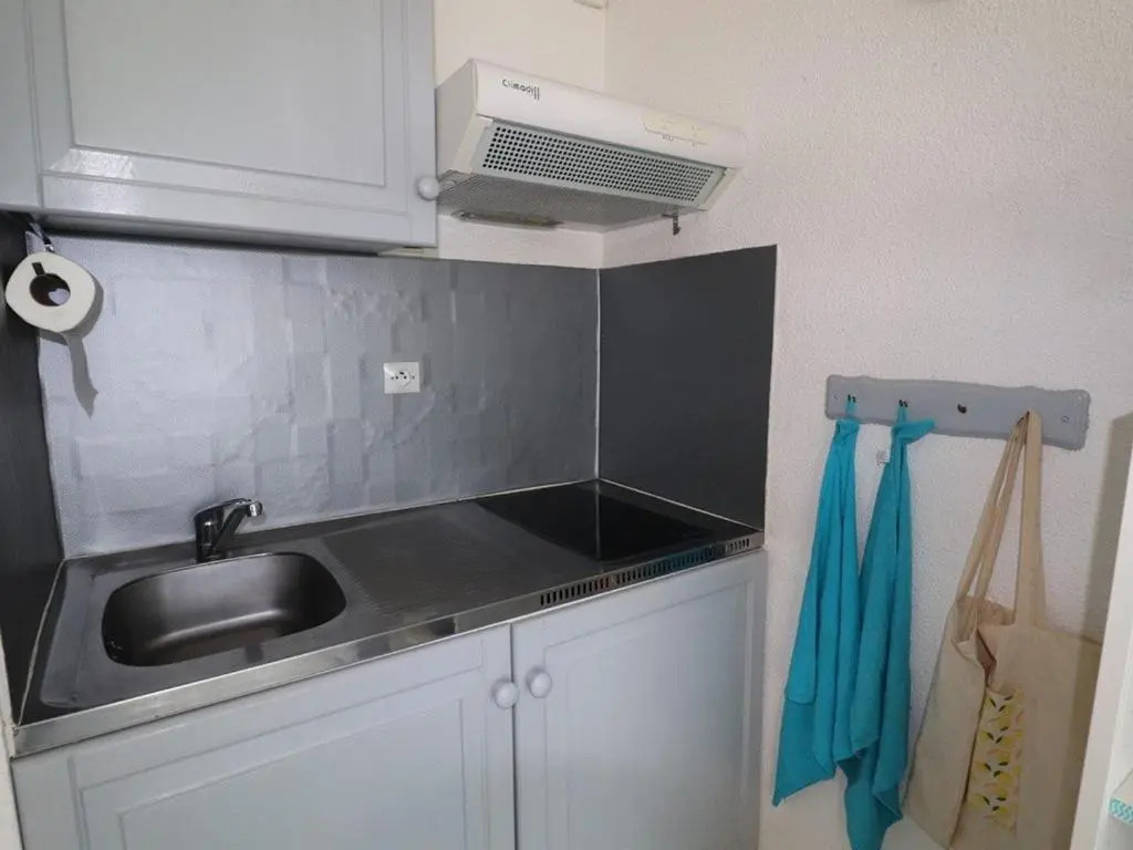 Appartement Le Grau-du-Roi, 1 pièce, 4 personnes - FR-1-307-96