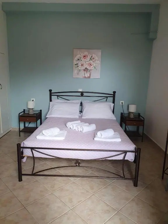 Vivis house