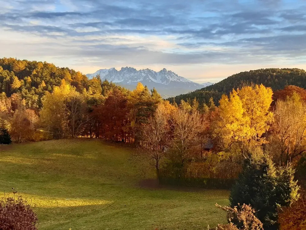 Villa Maier B&B & Apartments