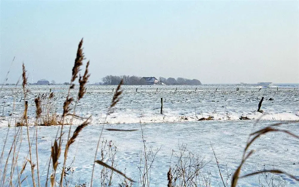 Hotel Pharisäerhof - DAS Hundehotel auf Nordstrand mit Restaurant und Café