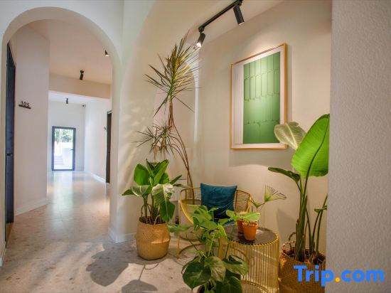 Shuxia · West Island No.1 Starry （Sea Island Camp Homestay）