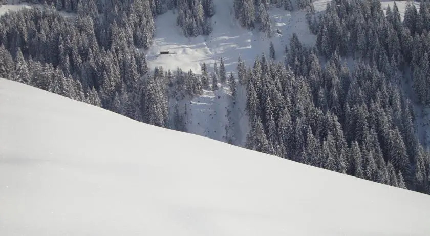 Thalernhof - Almhütte Kitzbühel