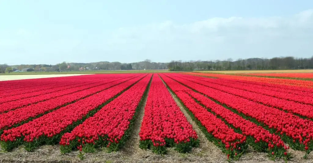Het Eerste Huisje vacation home