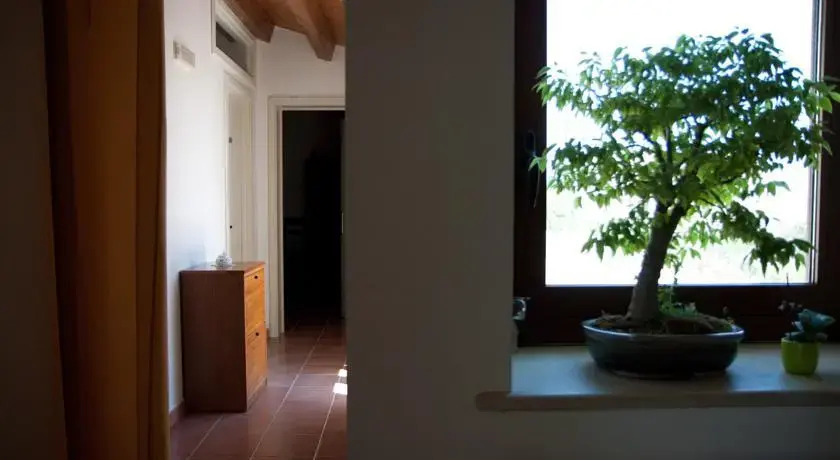 La Casa Del Conte
