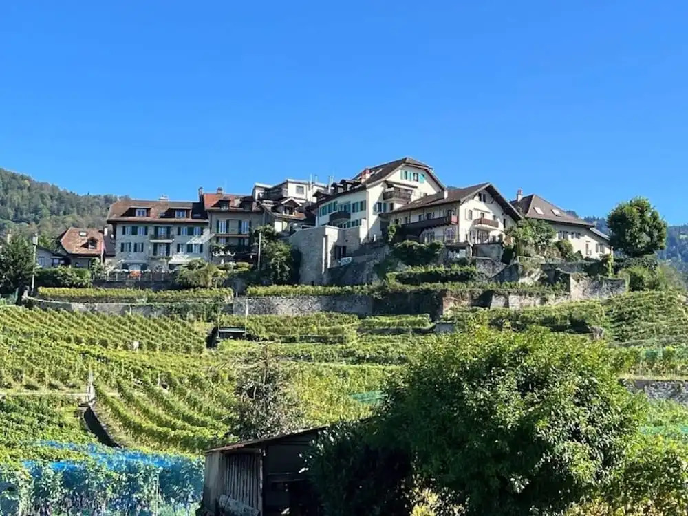 La Vigneronne, Chailly-Montreux