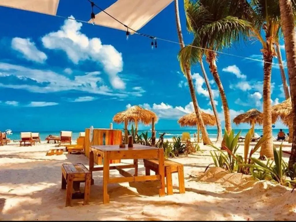 Liz Apartment Punta Cana 2 Bedrooms 2Bathrooms