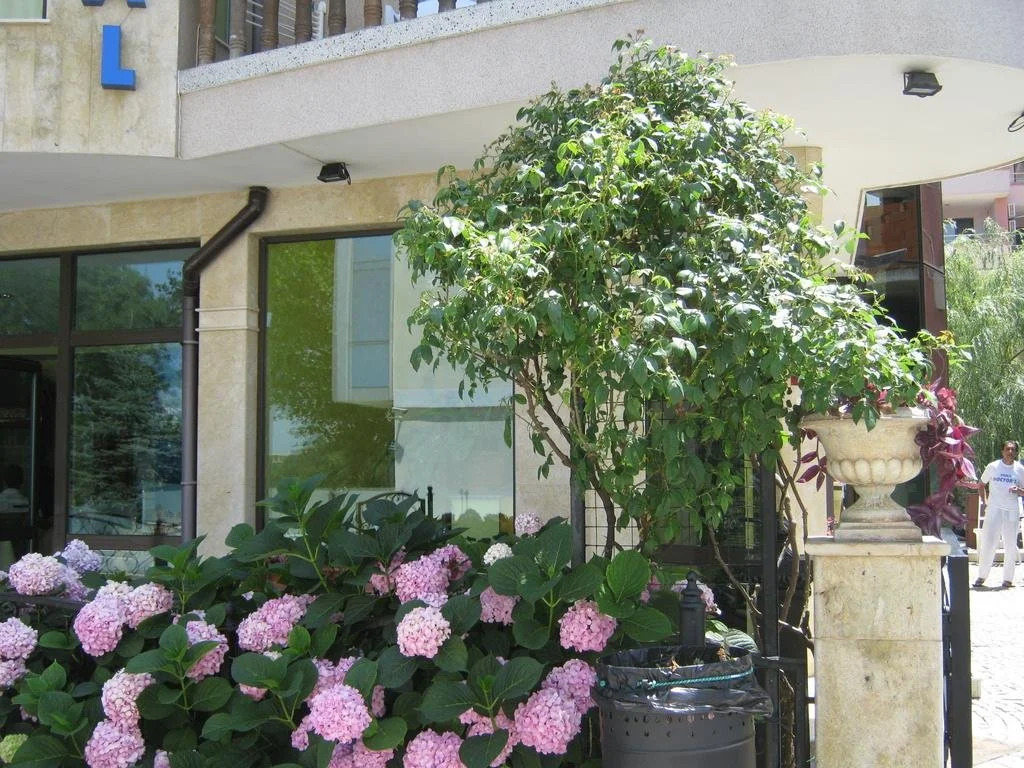 Hotel Continental