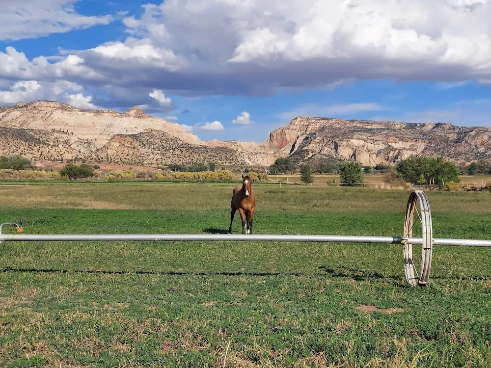 Canyons Of Escalante RV Park