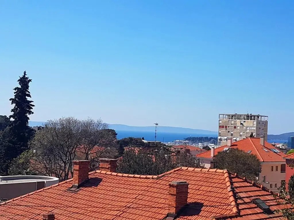 Violet Sea Breeze
