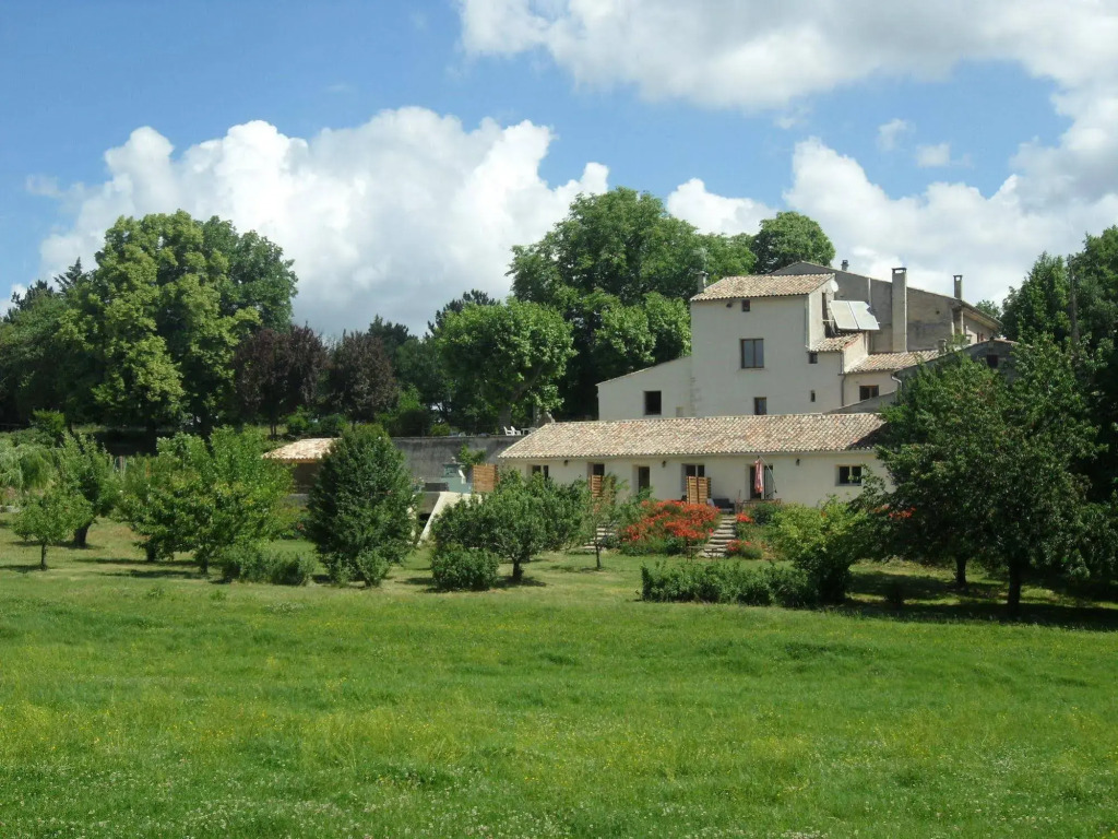 Les Ânes de Forcalquier