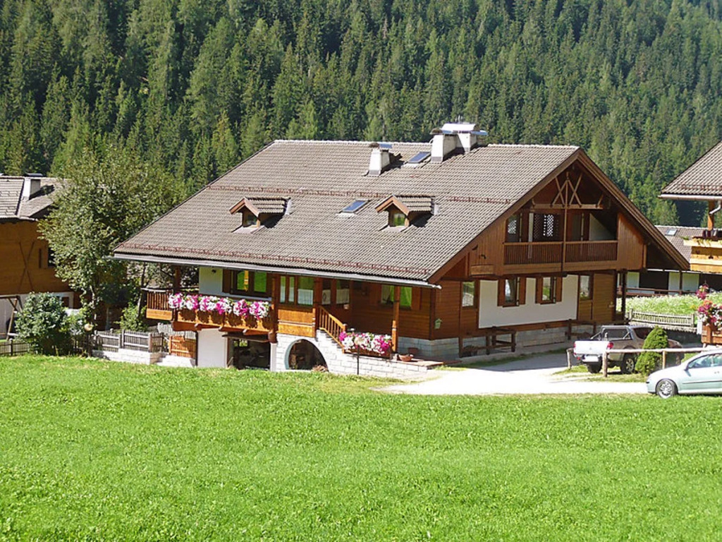 Cesa Galaldriel 39311