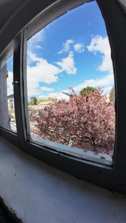 Temiscira Hostel