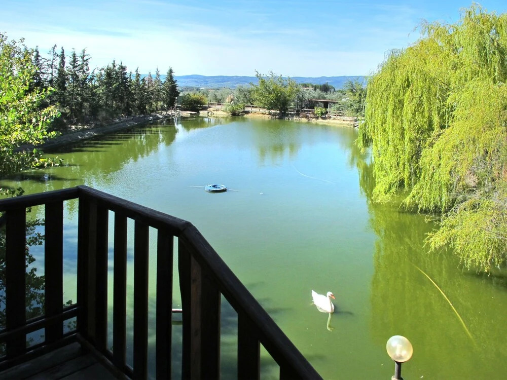 Giuggiolo Gorgognano