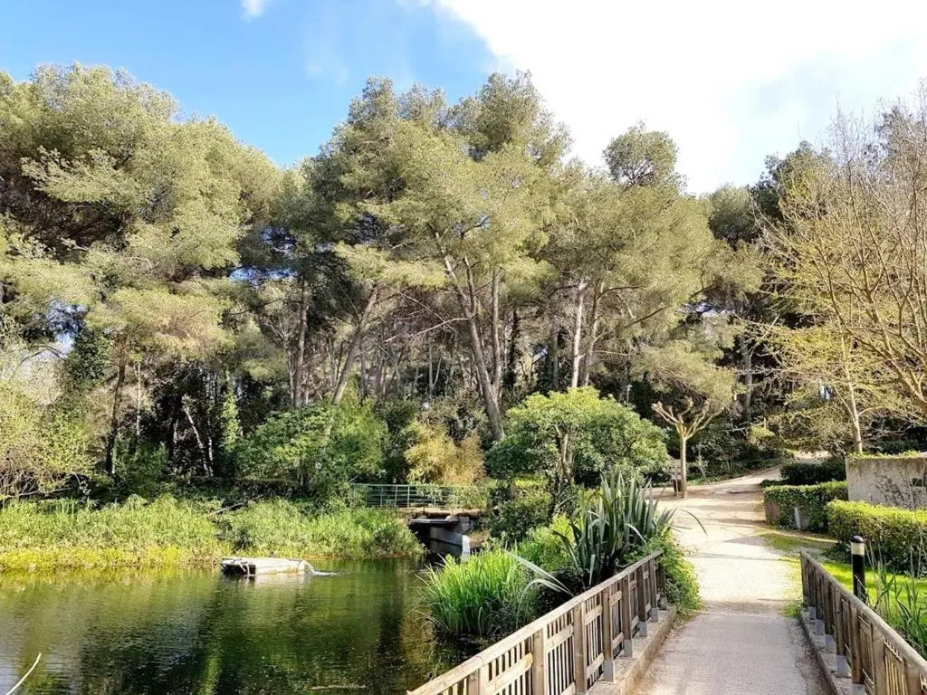 Appartement Six-Fours-les-Plages, 2 pièces, 2 personnes - FR-1-316-299