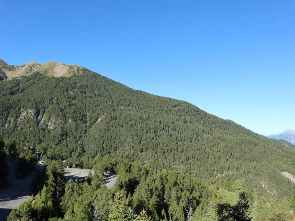 Appartement Les Orres, 2 pièces, 8 personnes - FR-1-322-87