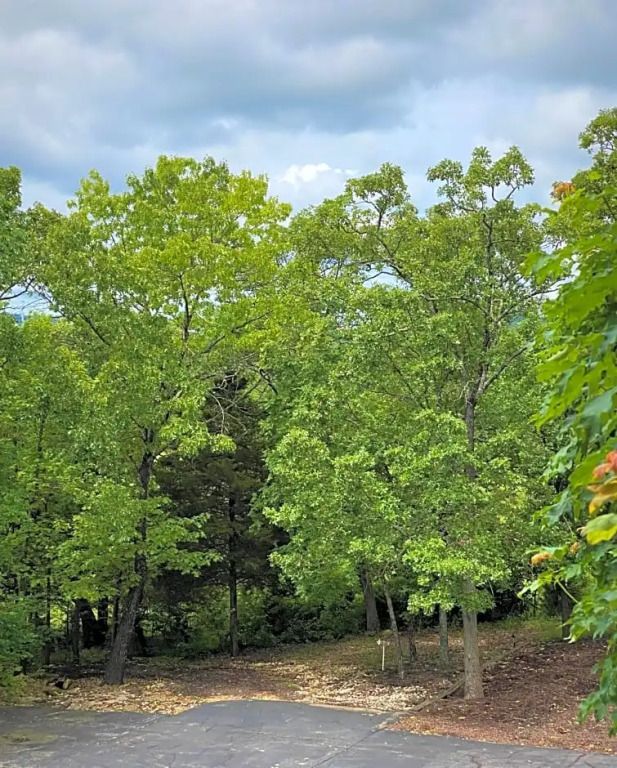 The Park at Foxborough