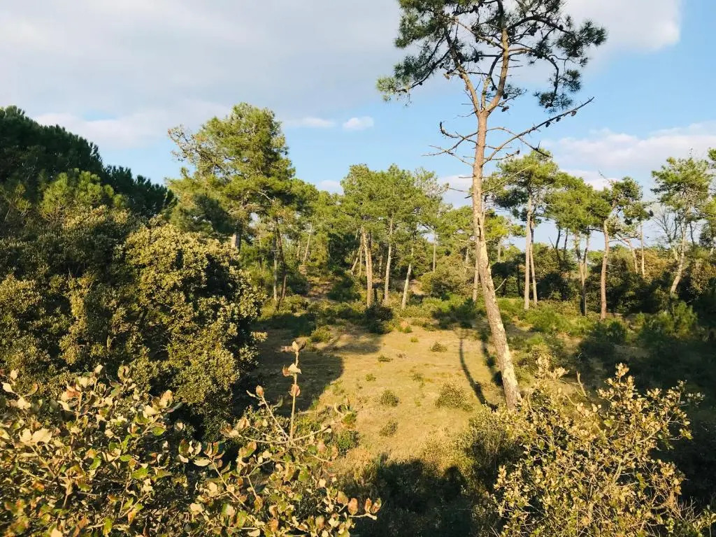 180° Vue Ocean, T3 Marin Haut de Gamme