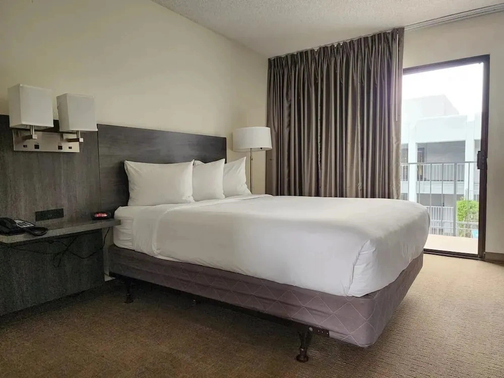 Las palmas Hotel Tucson